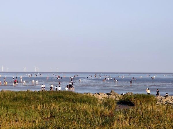 南匯嘴觀(guān)海公園(有什么值得拍的景色)