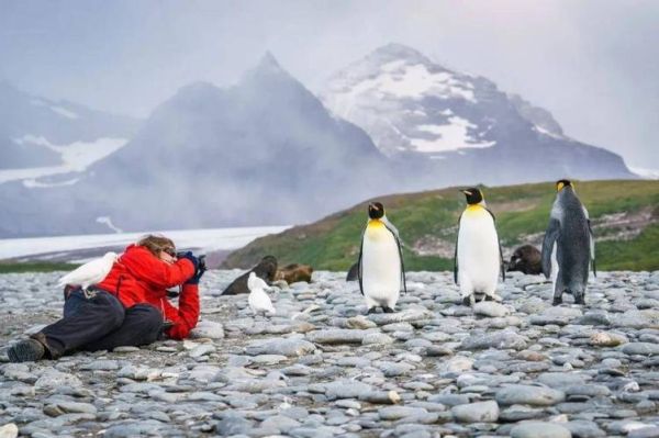 去南極旅游( 南極旅游有哪些注意事項)