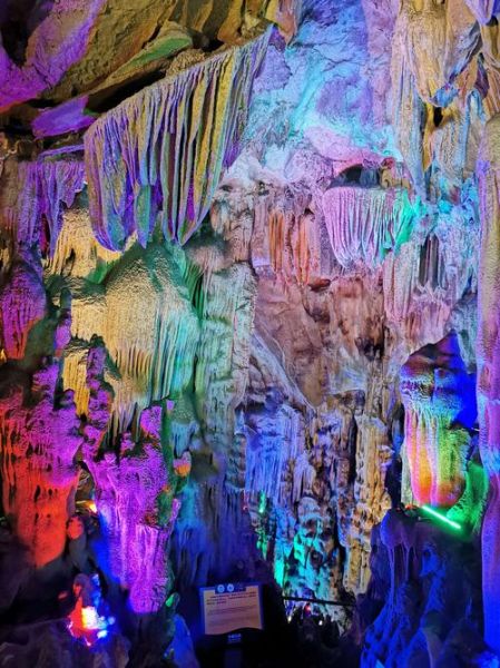 天鵝洞( 真的能承包整個景區(qū)嗎)