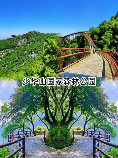 少華山國家森林公園(你更想體驗?zāi)膫€)