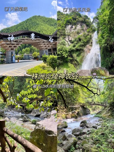 株洲神農(nóng)谷(還有哪些值得體驗的)