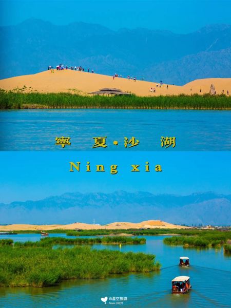 沙湖旅游攻略(當地人推薦去哪里吃)