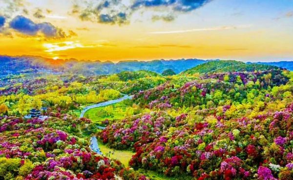 百里杜鵑風(fēng)景名勝區(qū)(去過的人都說好)