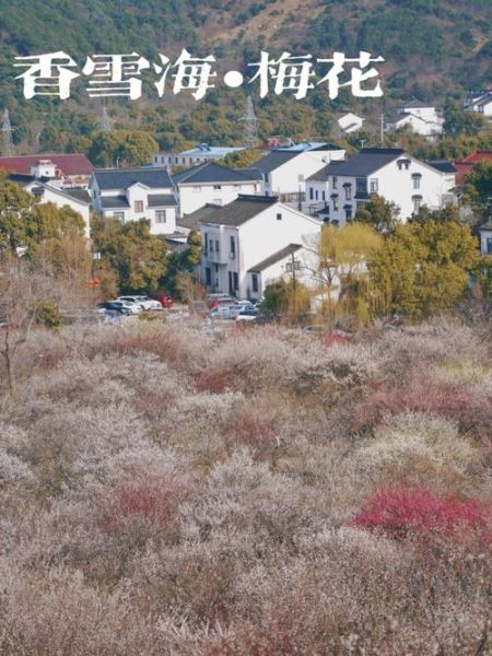 蘇州香雪海(有什么季節(jié)限定活動)