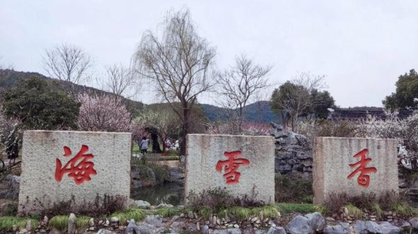 蘇州香雪海(有什么季節(jié)限定活動)