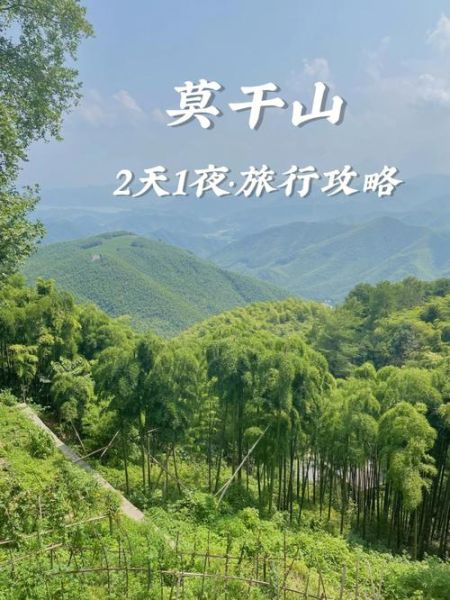 莫干山在哪(哪里性價比高)