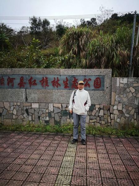 陸河旅游景點(diǎn)大全(還是去南萬(wàn)紅椎林體驗(yàn)生態(tài))