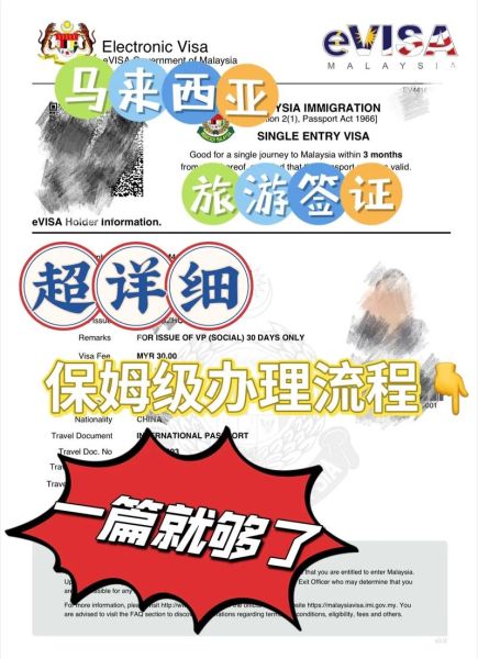 馬來西亞簽證(網(wǎng)上申請(qǐng)流程是什么)