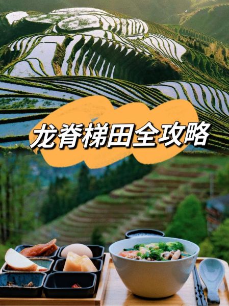 龍勝梯田攻略(當(dāng)?shù)靥禺a(chǎn)有哪些)