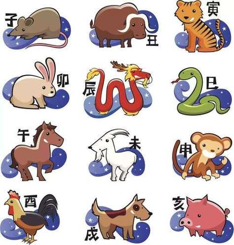 九死一生是什么生肖 (和十二生肖有什么關(guān)系)