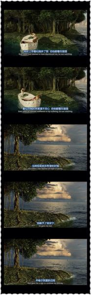 少年派的奇幻漂流經(jīng)典臺(tái)詞(哪些臺(tái)詞讓你感觸最深)