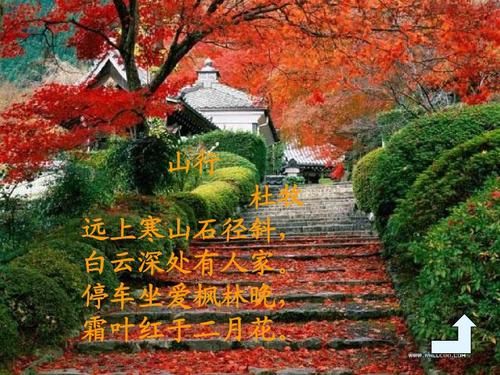 遠(yuǎn)上寒山石徑斜白云深處有人家意思( 那深秋的楓葉為什么比二月花還紅呢)