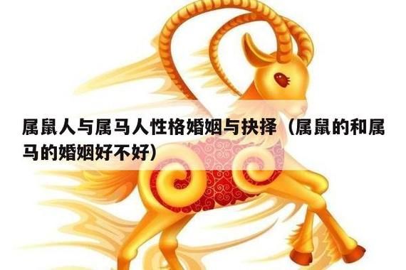 屬馬配偶(你的愛情能經(jīng)受住考驗嗎)