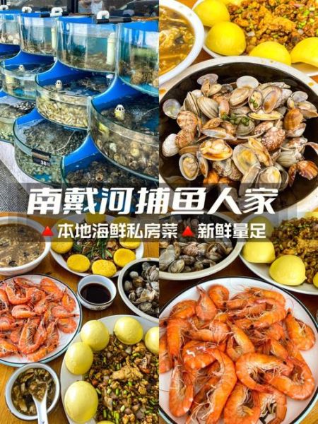 南戴河旅游度假區(qū)(吃什么最鮮美)