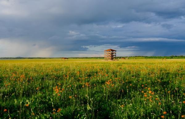 庫倫淖爾旅游度假區(qū)( 怎么才能玩得盡興)