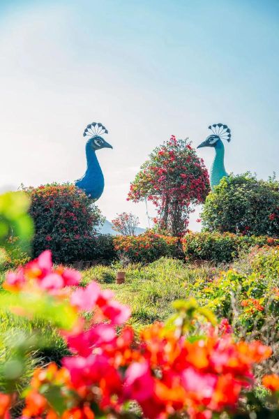 海南花梨谷旅游度假景區(qū)(有什么適合小朋友玩的)