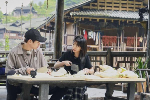 向往的生活(真的需要向往的生活嗎)