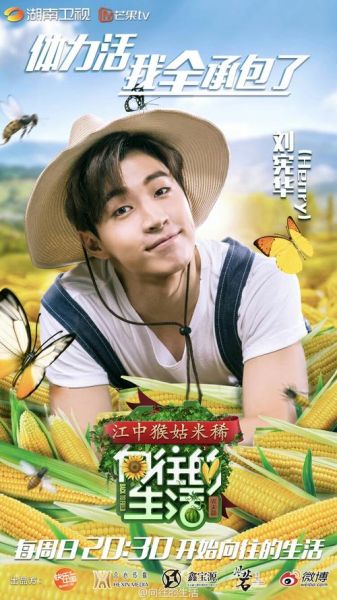 向往的生活在哪能看(手機上可以看嗎)