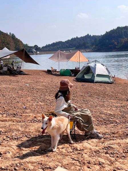 向往的生活拍攝地址(杭州長樂林場美不美)