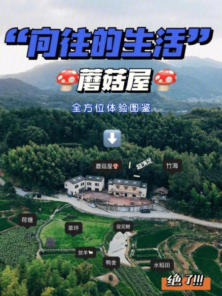 向往的生活第三季第一期(蘑菇屋會發(fā)生哪些故事)