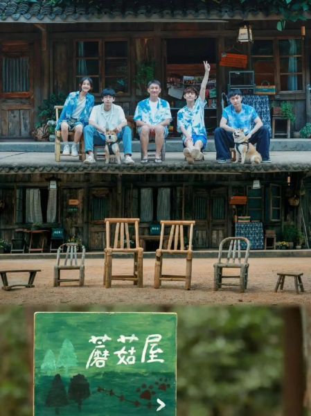 向往的生活蘑菇屋圖片(它承載了多少美好回憶)