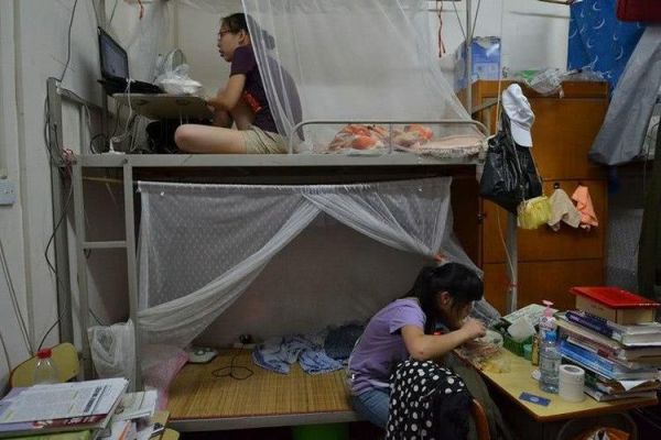 大學宿舍生活(是天堂還是地獄)