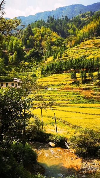 悠然田園生活( 怎樣才能在田園生活中收獲幸福)