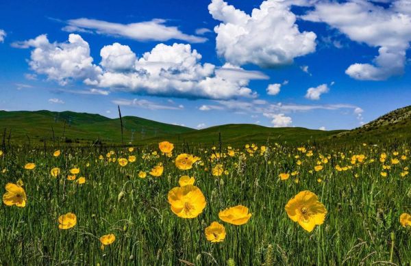 我們生活的地方(還有哪些美景)
