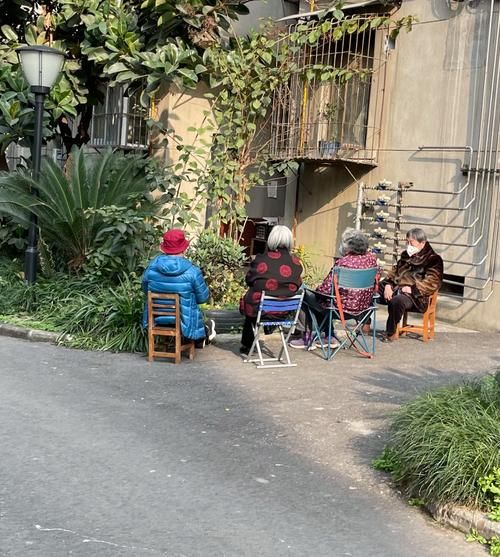 我理想中的老年生活(是兒女陪伴還是朋友相伴)