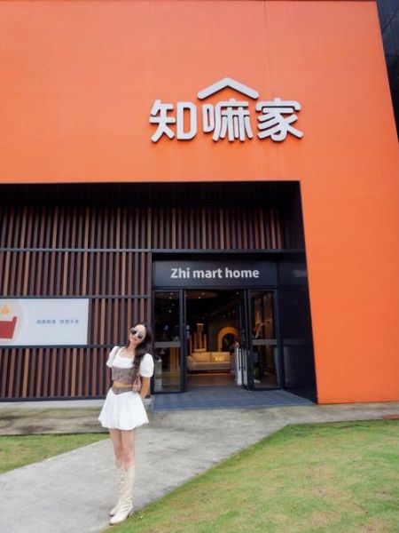 杭州生活家居( 杭州生活家家居能幫你想辦法嗎)