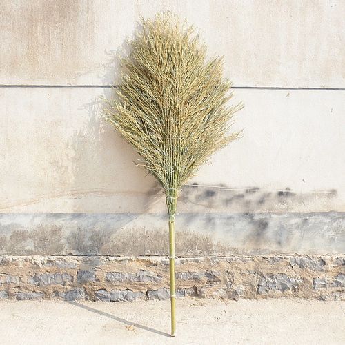 生活中一米長的東西(你見過一米長的掃把嗎)