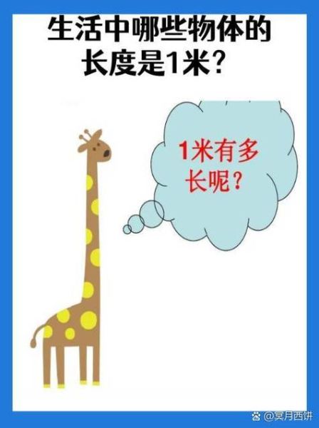 生活中哪些物體的長度大約是1米( 它們有什么用處呢)