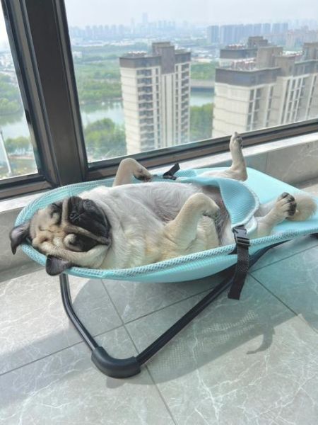 生活愜意是什么意思(怎樣才能找到屬于自己的愜意)