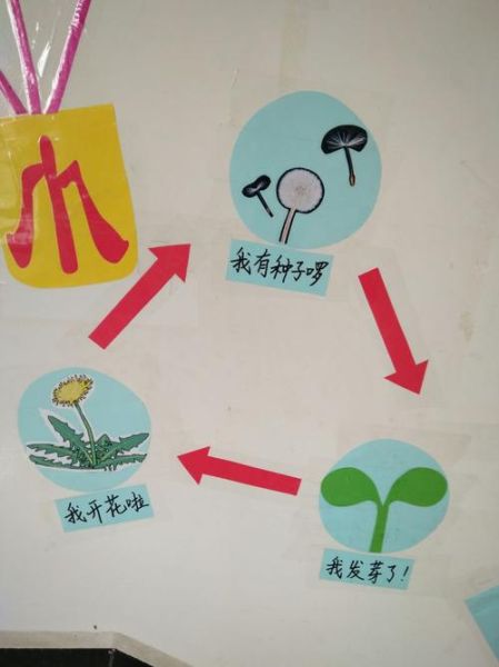 蒲公英的生活環(huán)境(它在什么地方才能生長(zhǎng))