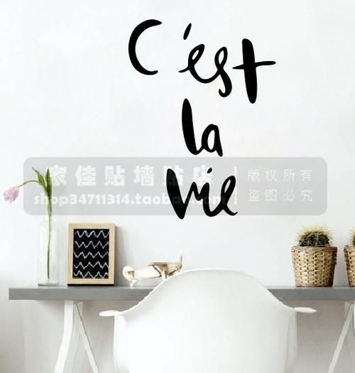 這就是生活法語(yǔ)(你準(zhǔn)備好迎接挑戰(zhàn)了嗎)